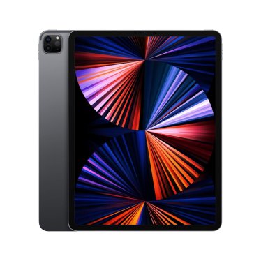 [Refurbished] iPad Pro (12,9-inch) - 2021 - Wi-Fi - 1TB - Space Gray